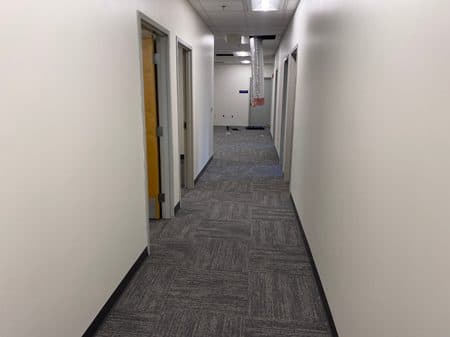 Pet Lane